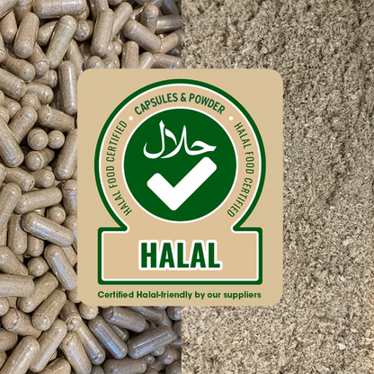 Primal Energy (Beef Liver)